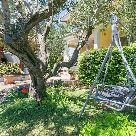 By The Sea Razanj, - 12733